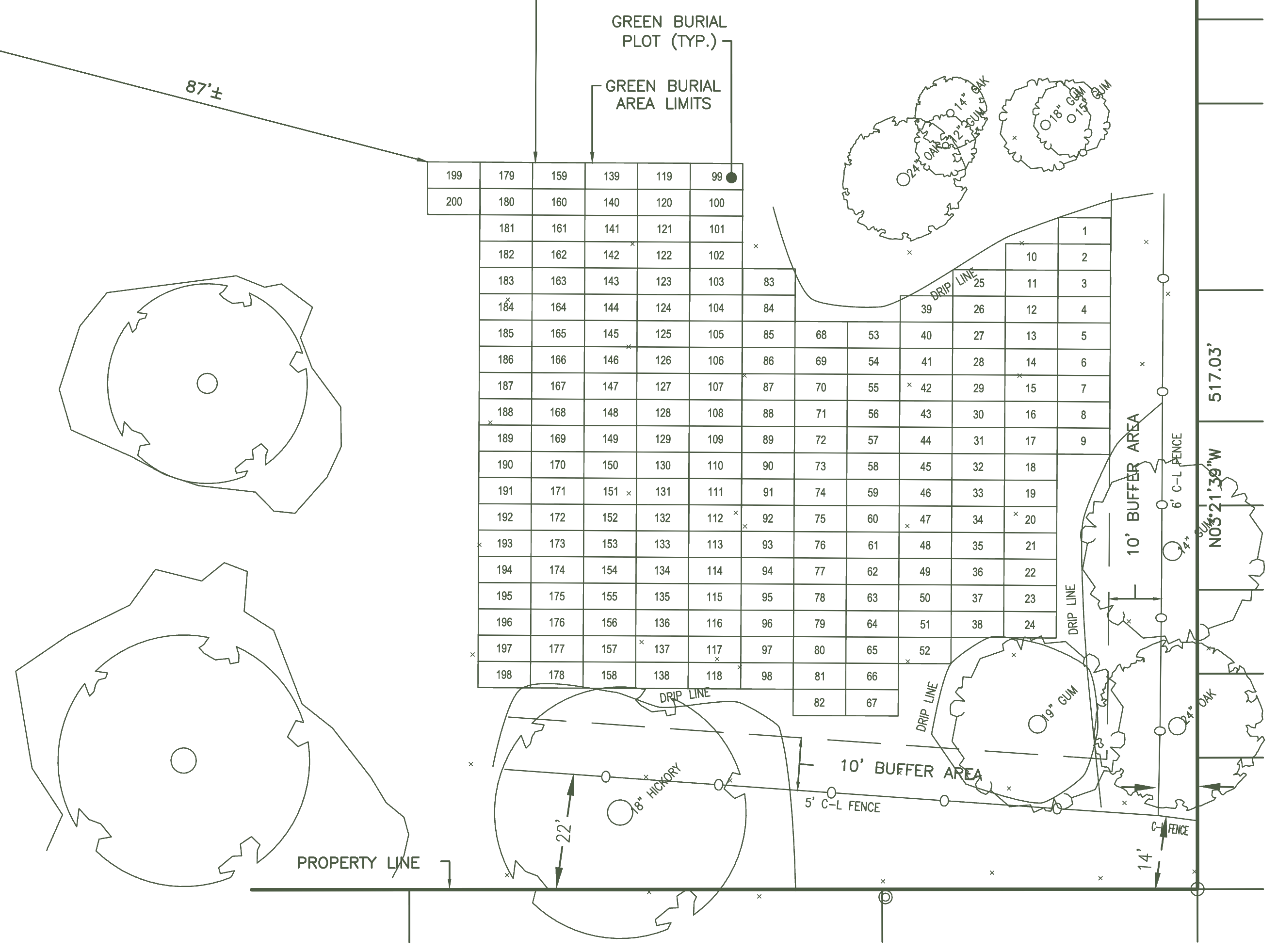 Preliminary plot plan of the green burial area, showing numbered spaces set between mature oak, gum and hickory, with a ten-foot buffer along the boundary